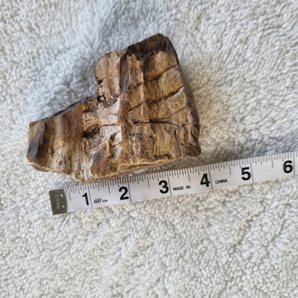 Raw Petrified Wood 11.9 OZ Measures 4Inches by 3 Inches by 1.25 Inches - Picture 5 of 7